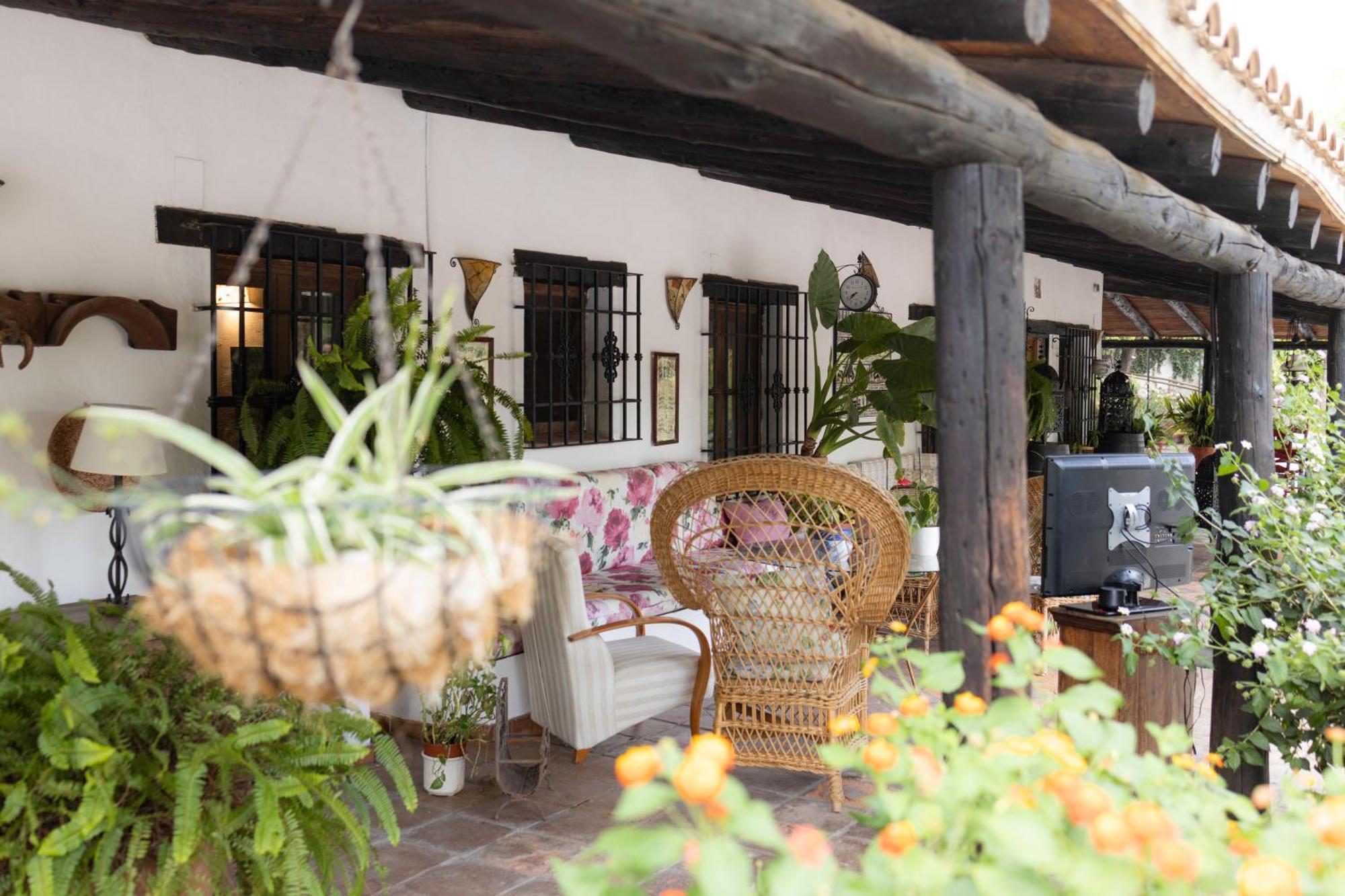 LA CUADRA, Finca privada a los pies de Sierra Nevada, a 10 minutos del centro, Jardín, Barbacoa La Zubia  Exterior foto